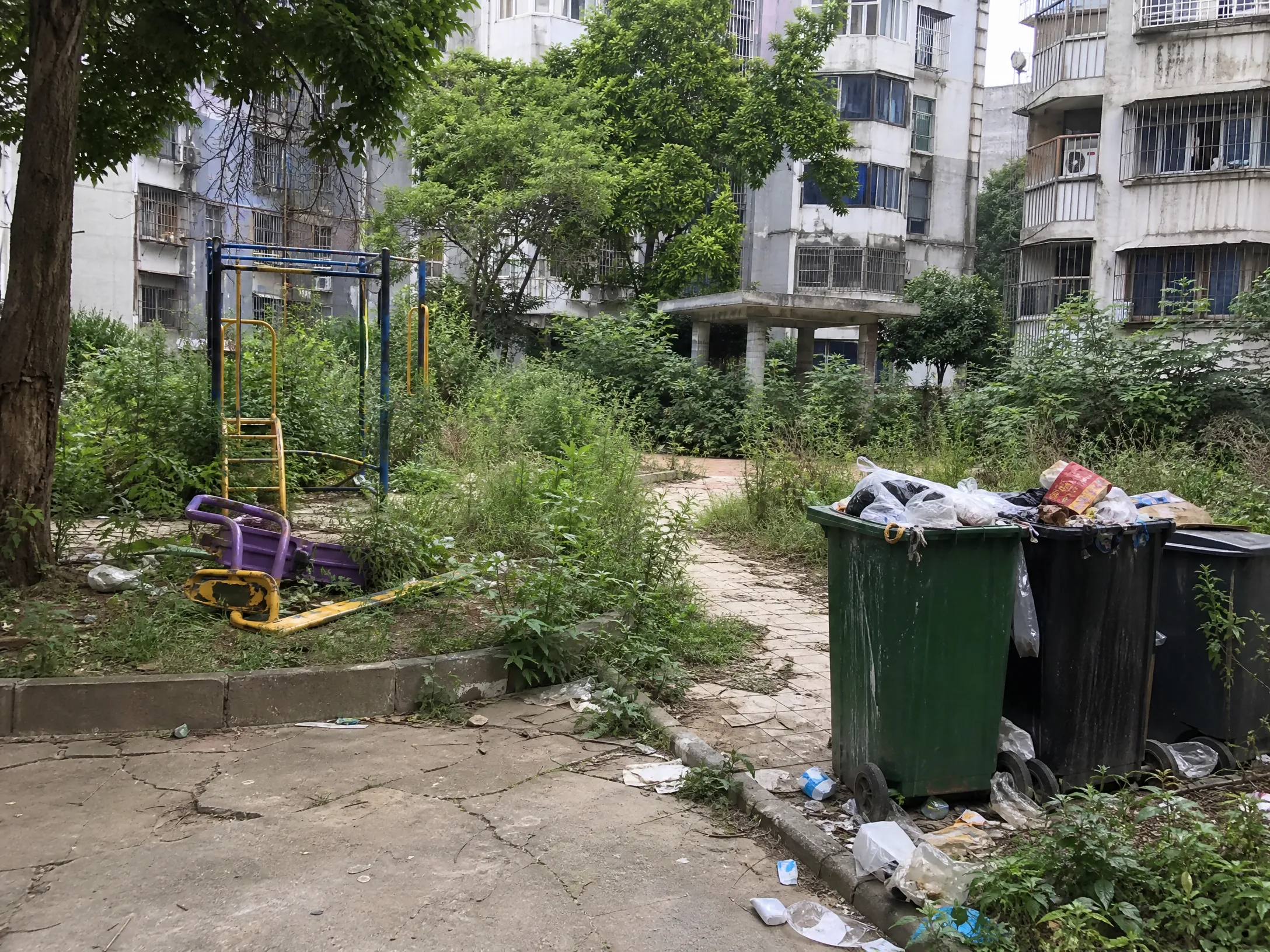 小区公共区域杂草丛生垃圾遍地，儿童游乐设施损坏无人维修